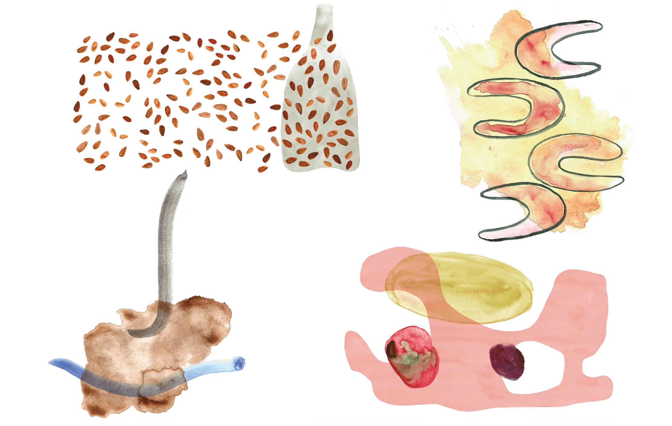 Four abstract watercolour illustrations of dishes: scattered seeds with a bottle, red crescents on a yellow wash, a brown wash pierced by a grey stem, and pink and yellow shapes with berries